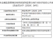 永安财险西双版纳中心支公司被罚20万元：给予投保人合同外利益