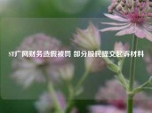 ST广网财务造假被罚 部分股民提交起诉材料