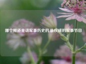 哪个频道是讲军事历史的,最权威的军事节目