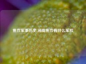 焦作军事历史,河南焦作有什么军校