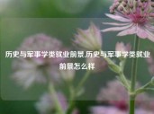 历史与军事学类就业前景,历史与军事学类就业前景怎么样