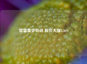 智富盘中异动 股价大涨5.36%