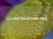 Northvolt有望下周完成约3亿美元的融资