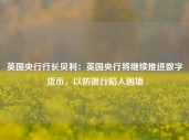 英国央行行长贝利：英国央行将继续推进数字货币，以防银行陷入困境