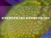 航母军事历史简介图片,航母军事历史简介图片