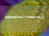 丽翔教育盘中异动 下午盘股价大涨5.08%