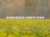 信创概念震荡走高 中国软件午后涨停