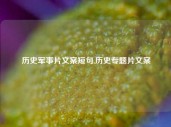 历史军事片文案短句,历史专题片文案