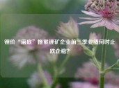 锂价“磨底”拖累锂矿企业前三季业绩何时止跌企稳？