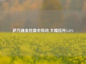 萨万通金控盘中异动 大幅拉升5.42%