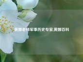 黄娜老师军事历史专家,黄娜百科