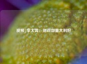 视频|李大霄：财政部重大利好