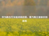 华为概念汽车股冲高回落，赛力斯江淮股价创新高