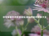 中华军事历史故事简短,简短的军史故事大全