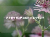 汽车整车板块快速回升 众泰汽车涨停