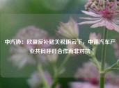 中汽协：欧盟反补贴关税阴云下，中德汽车产业共同呼吁合作而非对抗