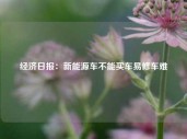 经济日报：新能源车不能买车易修车难