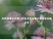 历史军事小说热门作家,历史军事小说完本经典之作