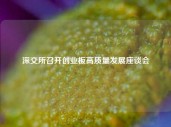 深交所召开创业板高质量发展座谈会