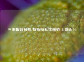 三季报超预期 特斯拉延续涨势 上涨近3%