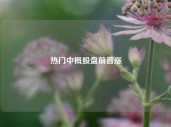 热门中概股盘前普涨