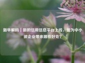 新华解码｜新的信用信息平台上线，能为中小微企业带来哪些好处？