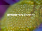 慧荣科技盘中异动 股价大跌5.00%