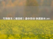 万物新生（爱回收）盘中异动 快速跳水5.08%