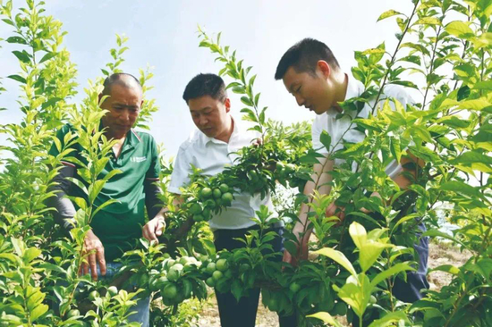 全力推动！工商银行推进支持小微企业融资协调工作机制落地