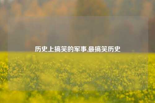 历史上搞笑的军事,最搞笑历史