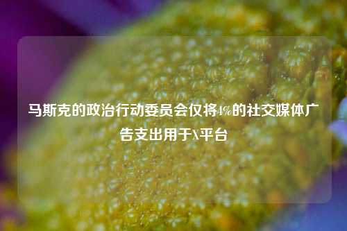 马斯克的政治行动委员会仅将4%的社交媒体广告支出用于X平台