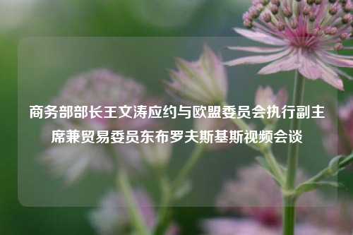 商务部部长王文涛应约与欧盟委员会执行副主席兼贸易委员东布罗夫斯基斯视频会谈