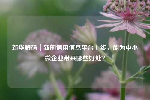 新华解码｜新的信用信息平台上线，能为中小微企业带来哪些好处？