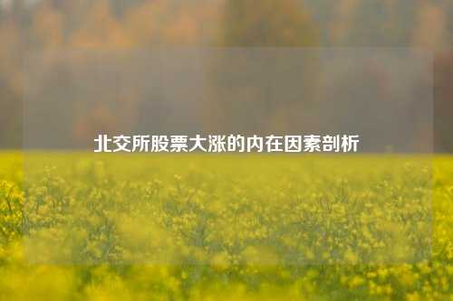 北交所股票大涨的内在因素剖析