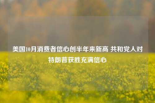 美国10月消费者信心创半年来新高 共和党人对特朗普获胜充满信心