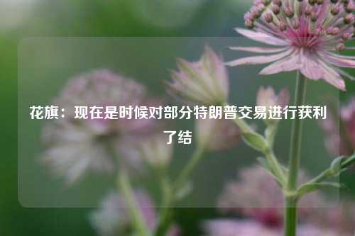 花旗：现在是时候对部分特朗普交易进行获利了结