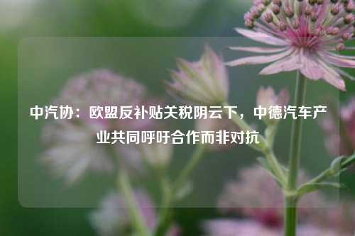 中汽协：欧盟反补贴关税阴云下，中德汽车产业共同呼吁合作而非对抗