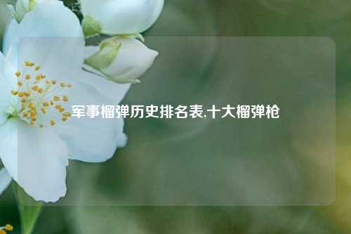 军事榴弹历史排名表,十大榴弹枪