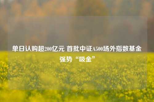 单日认购超200亿元 首批中证A500场外指数基金强势“吸金”