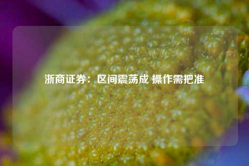 浙商证券：区间震荡成 操作需把准