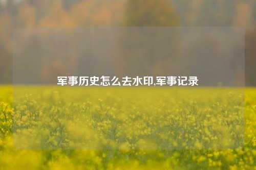 军事历史怎么去水印,军事记录