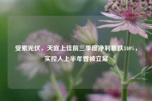 受累光伏，天宜上佳前三季度净利暴跌340%，实控人上半年曾被立案