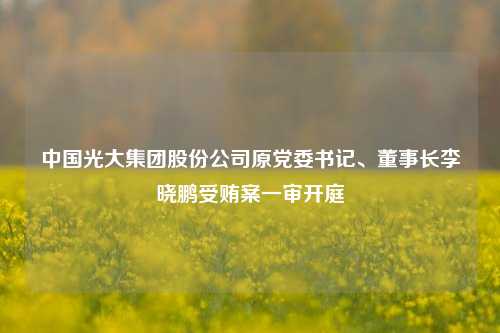 中国光大集团股份公司原党委书记、董事长李晓鹏受贿案一审开庭