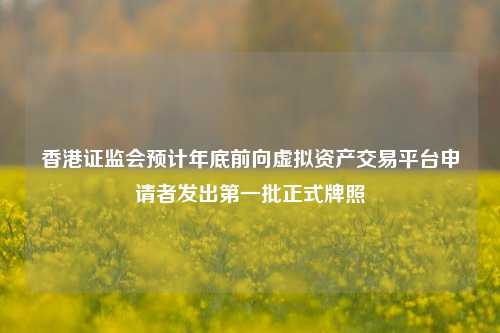 香港证监会预计年底前向虚拟资产交易平台申请者发出第一批正式牌照