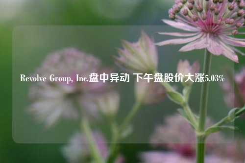 Revolve Group, Inc.盘中异动 下午盘股价大涨5.03%