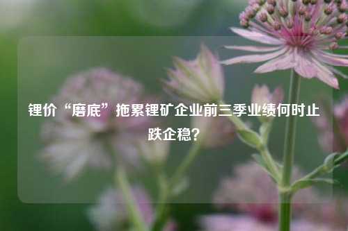 锂价“磨底”拖累锂矿企业前三季业绩何时止跌企稳？