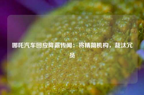 哪吒汽车回应降薪传闻：将精简机构，裁汰冗员