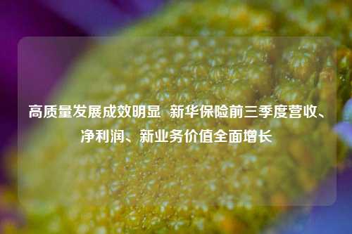 高质量发展成效明显  新华保险前三季度营收、净利润、新业务价值全面增长