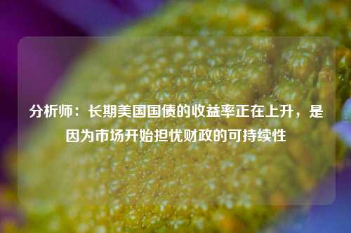 分析师：长期美国国债的收益率正在上升，是因为市场开始担忧财政的可持续性