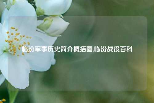 临汾军事历史简介概括图,临汾战役百科